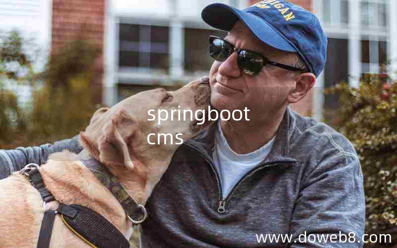 springboot cms