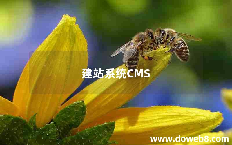 建站系统CMS