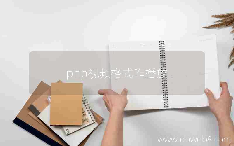 php视频格式咋播放