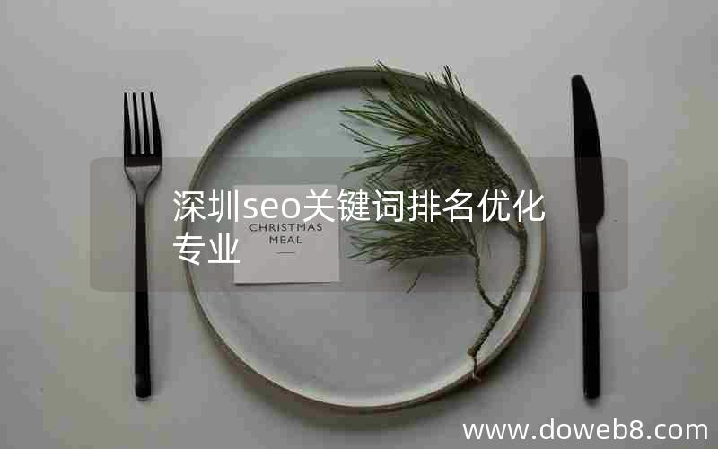 深圳seo关键词排名优化专业