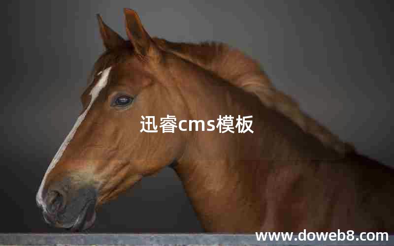 迅睿cms模板