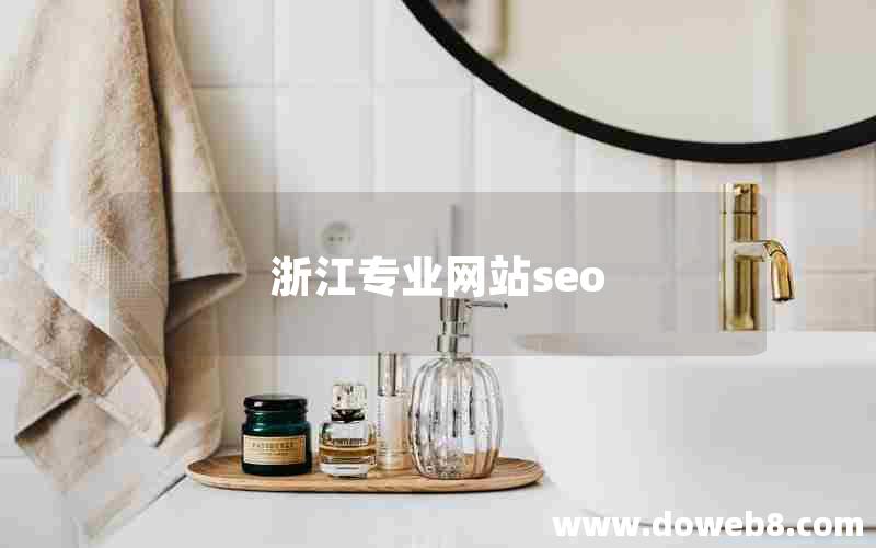 浙江专业网站seo