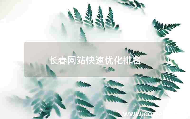 长春网站快速优化排名