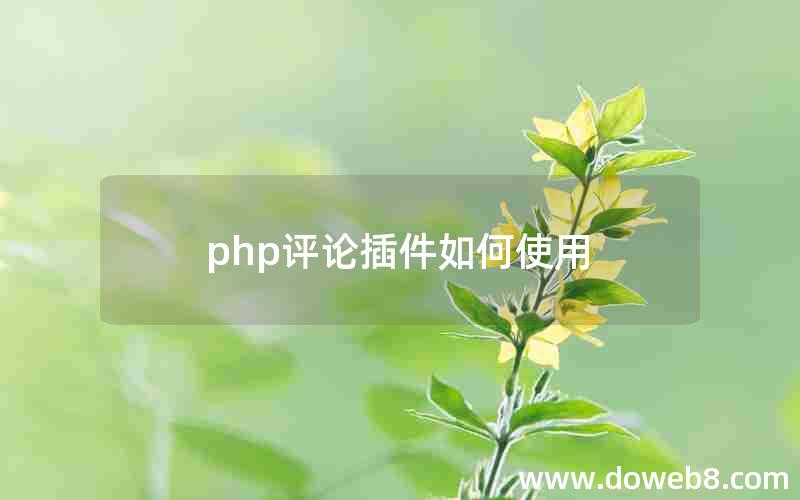 php评论插件如何使用