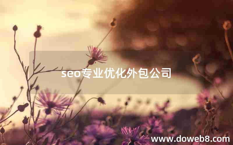 seo专业优化外包公司