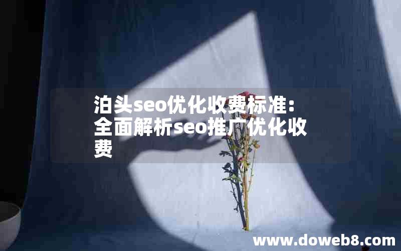 泊头seo优化收费标准:全面解析seo推广优化收费