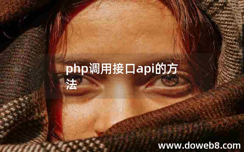 php调用接口api的方法