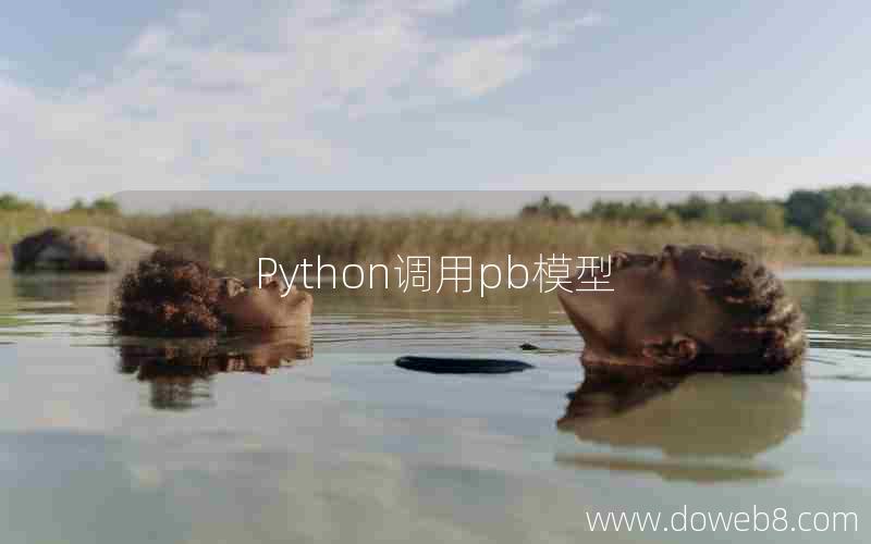 Python调用pb模型