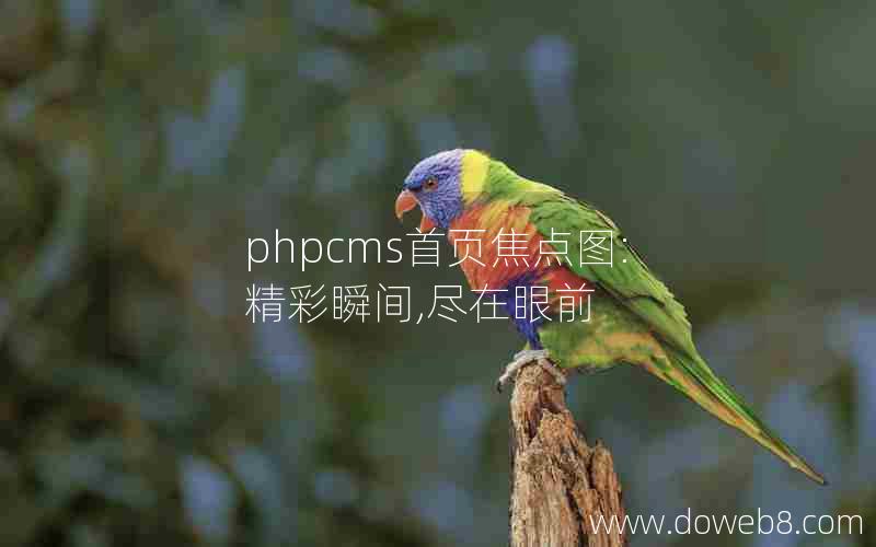 phpcms首页焦点图:精彩瞬间,尽在眼前