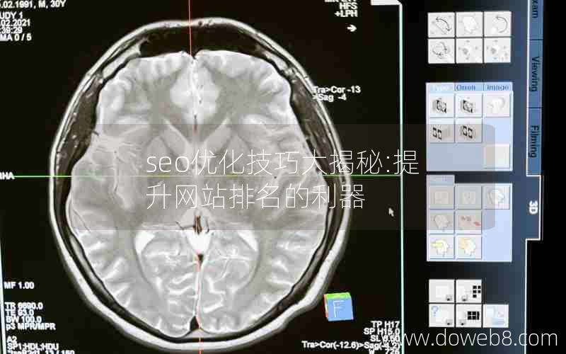 seo优化技巧大揭秘:提升网站排名的利器