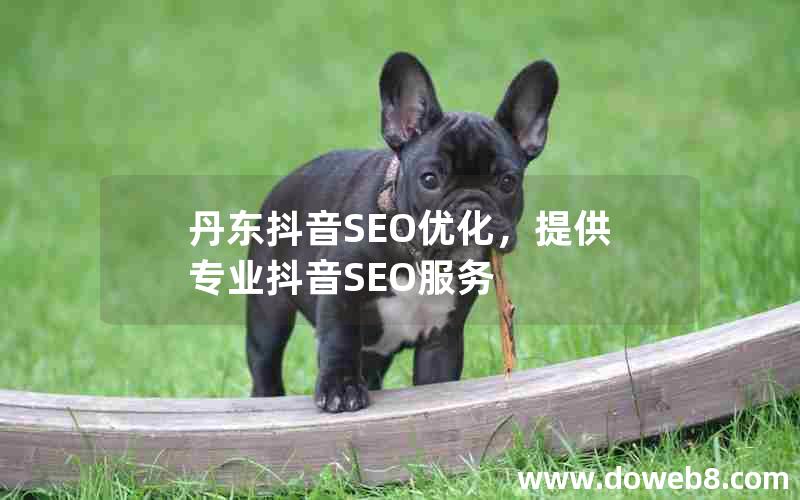 丹东抖音SEO优化，提供专业抖音SEO服务