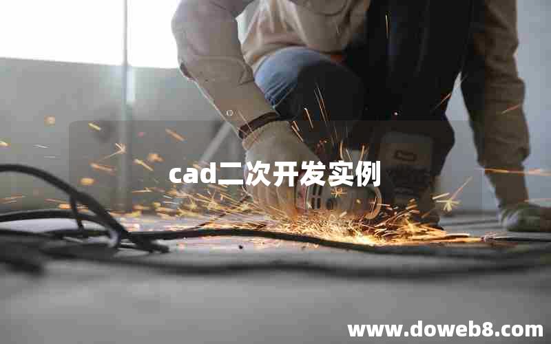 cad二次开发实例