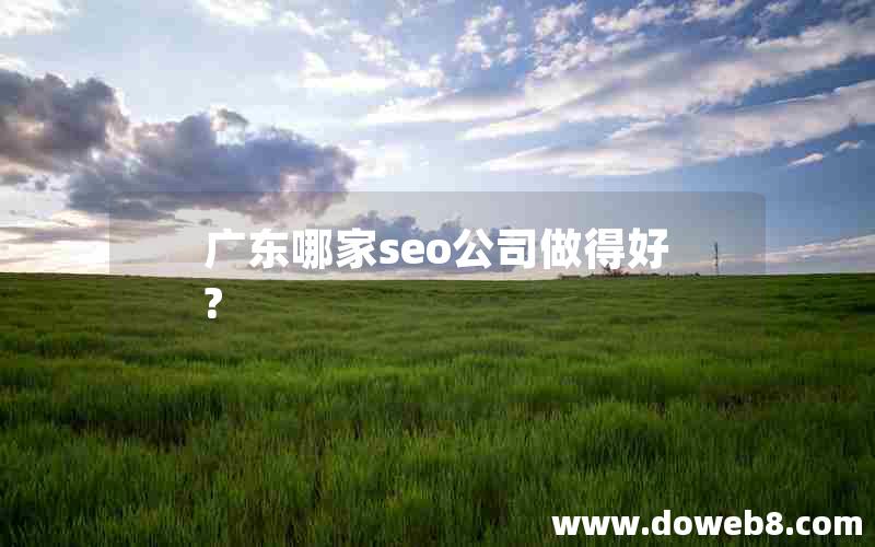 广东哪家seo公司做得好?