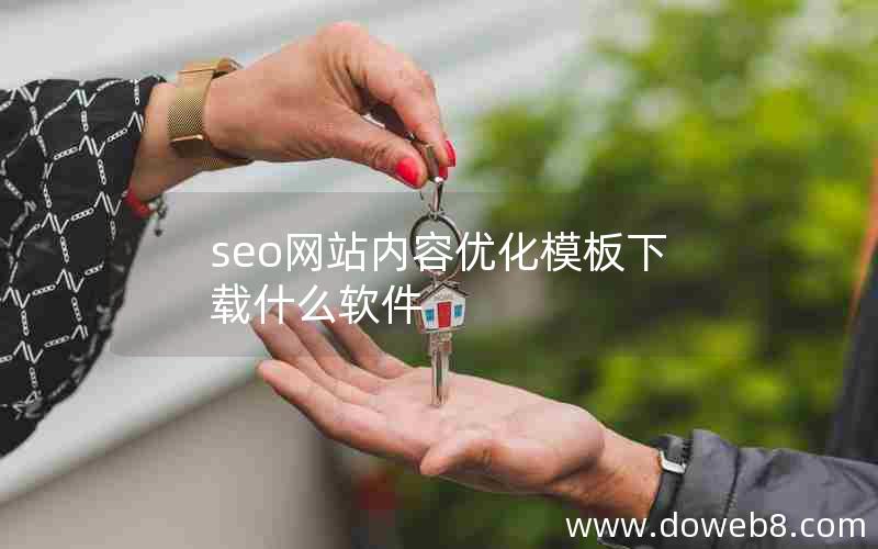 seo网站内容优化模板下载什么软件