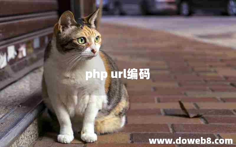 php url编码