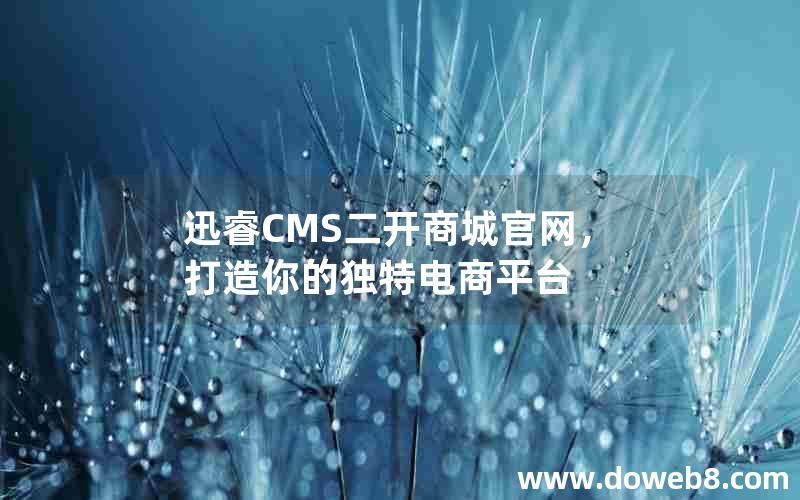 迅睿CMS二开商城官网，打造你的独特电商平台