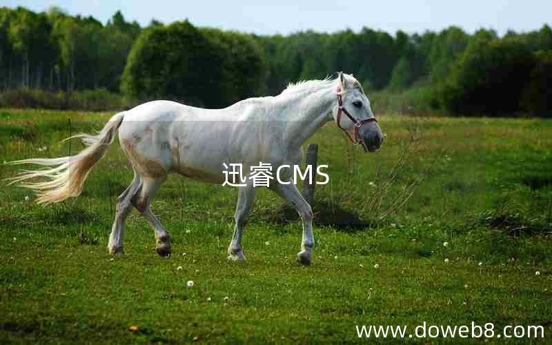 迅睿CMS