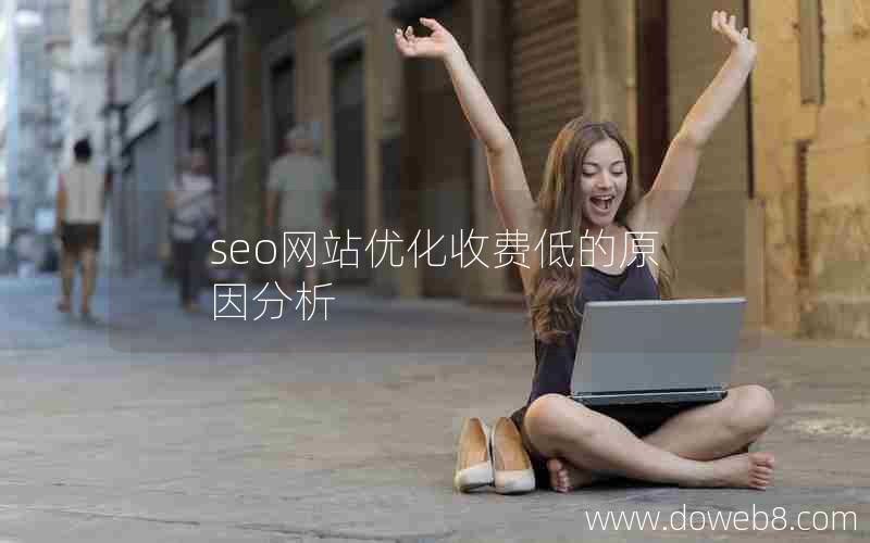 seo网站优化收费低的原因分析