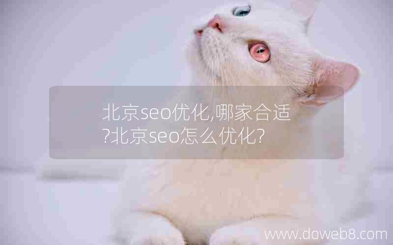 北京seo优化,哪家合适?北京seo怎么优化?