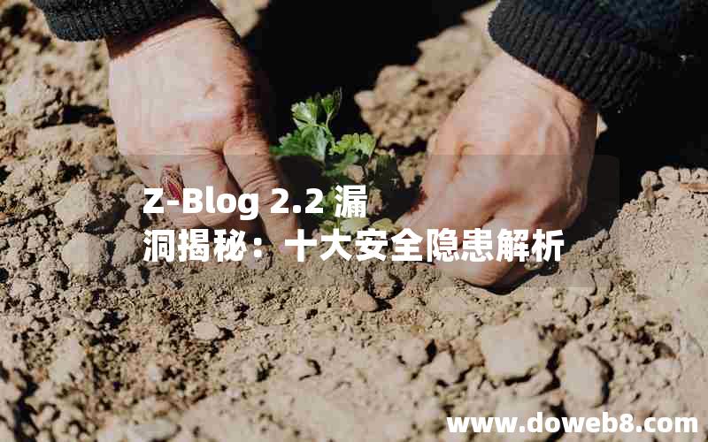 Z-Blog 2.2 漏洞揭秘：十大安全隐患解析