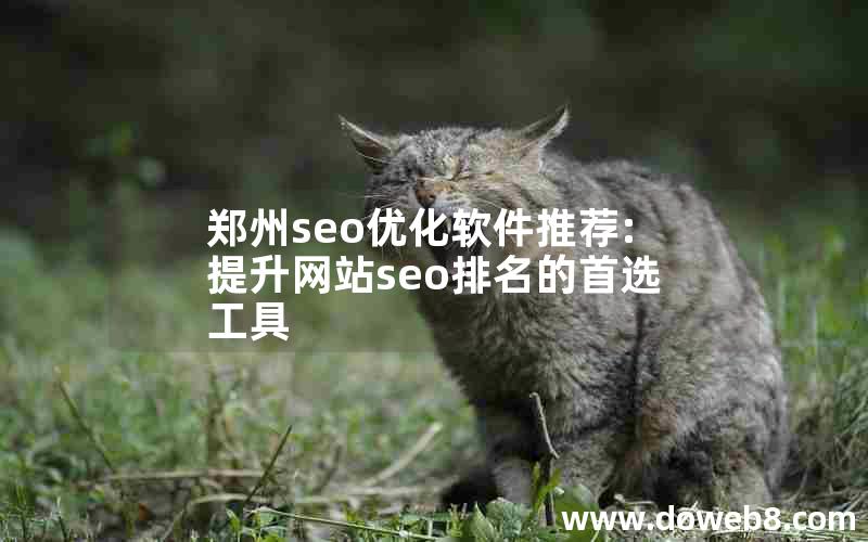 郑州seo优化软件推荐:提升网站seo排名的首选工具