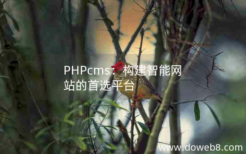 PHPcms：构建智能网站的首选平台