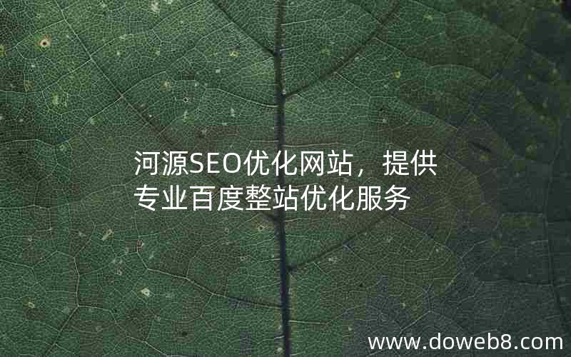 河源SEO优化网站，提供专业百度整站优化服务