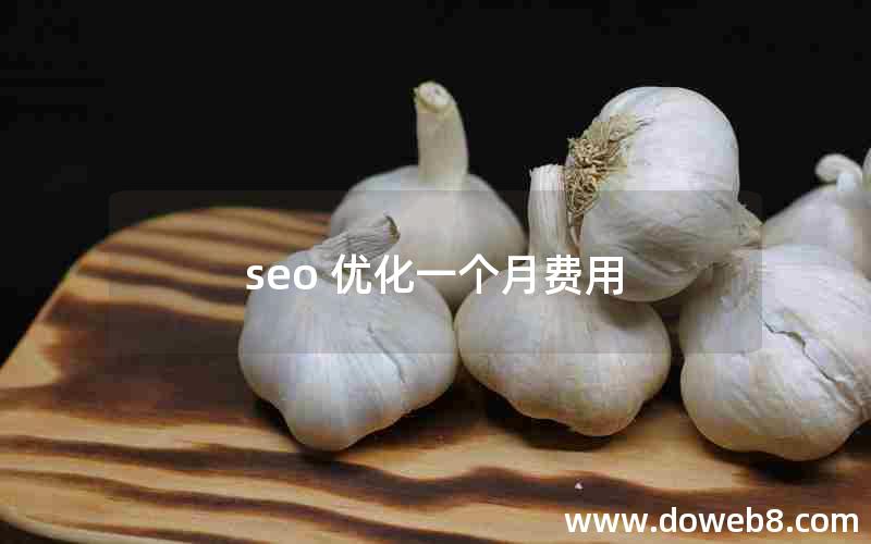 seo 优化一个月费用