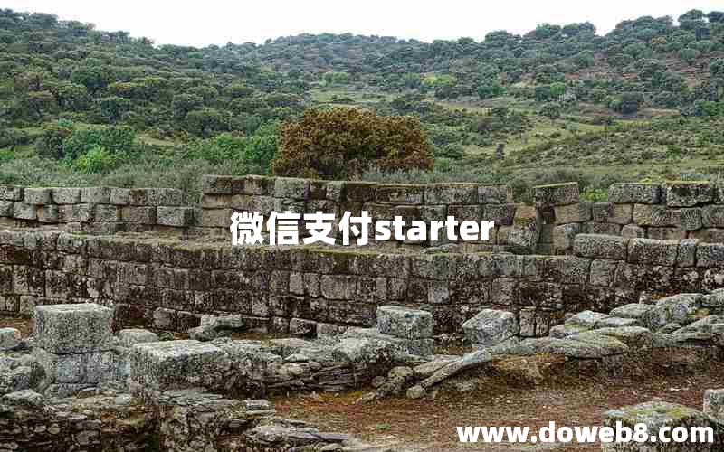 微信支付starter