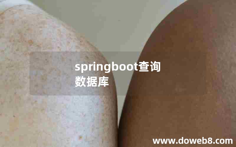 springboot查询数据库