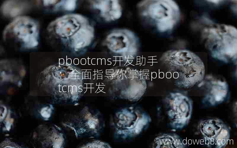 pbootcms开发助手：全面指导你掌握pbootcms开发