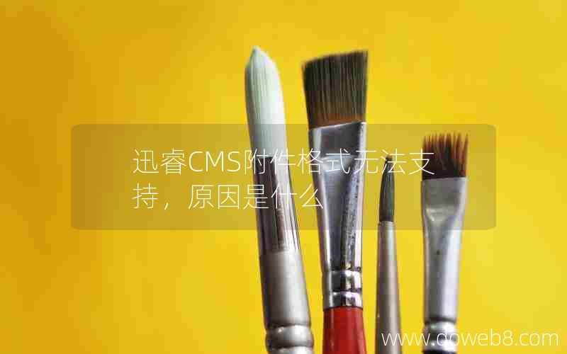 迅睿CMS附件格式无法支持，原因是什么