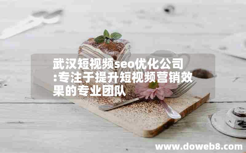 武汉短视频seo优化公司:专注于提升短视频营销效果的专业团队