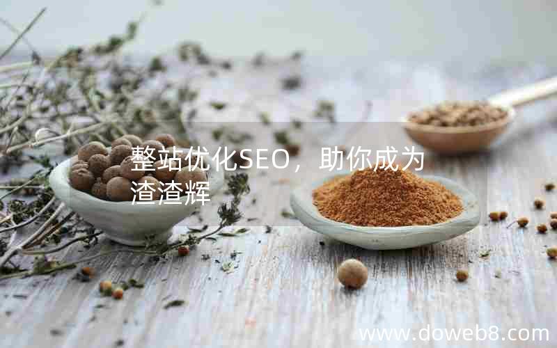 整站优化SEO，助你成为渣渣辉(整站优化seo,助你成为渣渣辉)