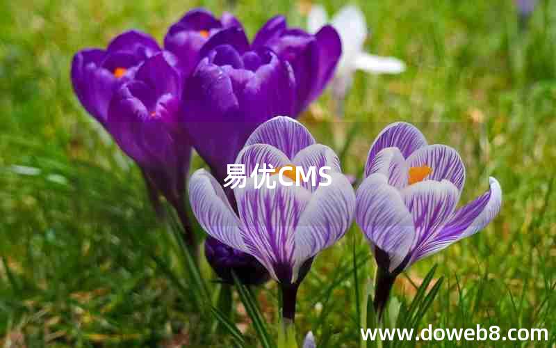 易优CMS