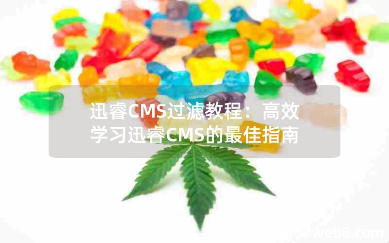 迅睿CMS过滤教程：高效学习迅睿CMS的最佳指南