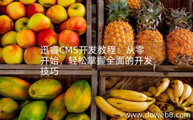 迅睿CMS开发教程：从零开始，轻松掌握全面的开发技巧