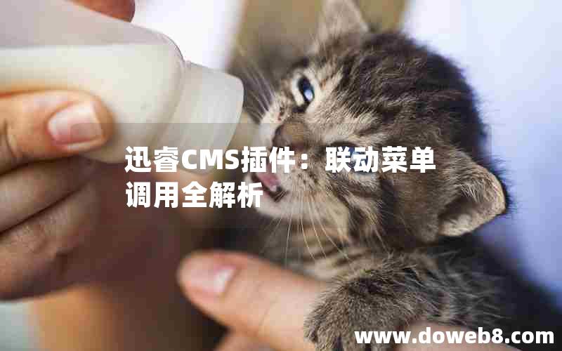 迅睿CMS插件：联动菜单调用全解析