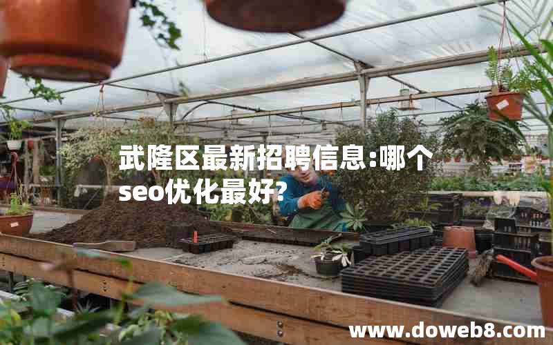 武隆区最新招聘信息:哪个seo优化最好?