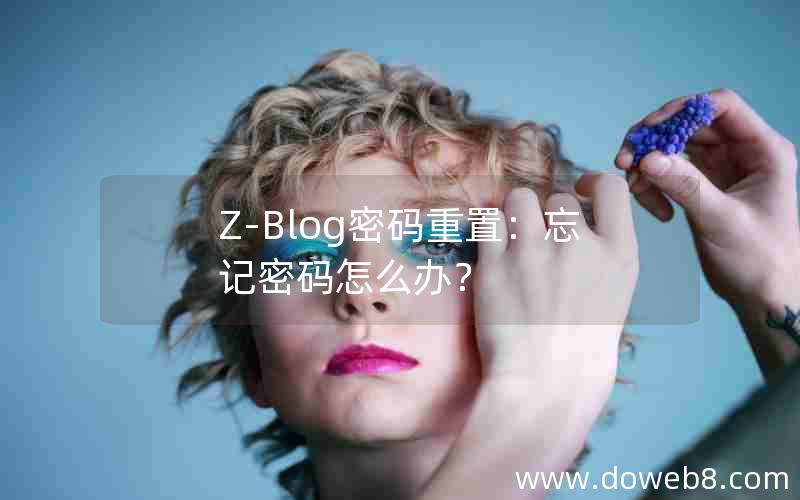 Z-Blog密码重置：忘记密码怎么办？