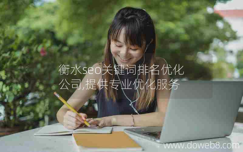 衡水seo关键词排名优化公司,提供专业优化服务