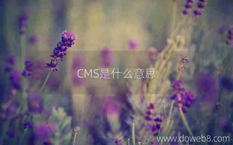 CMS是什么意思