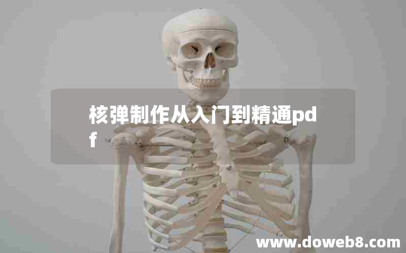 核弹制作从入门到精通pdf