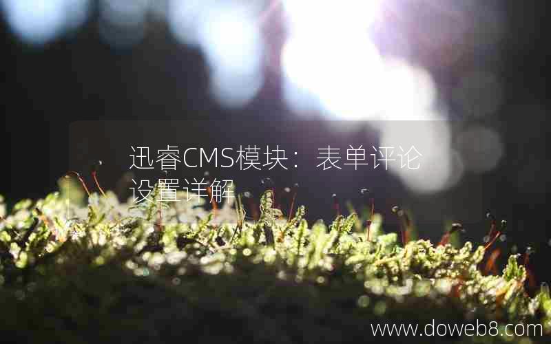 迅睿CMS模块：表单评论设置详解