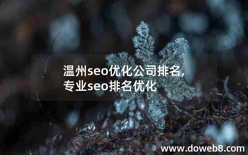 温州seo优化公司排名,专业seo排名优化