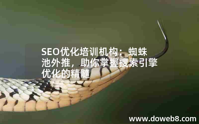 SEO优化培训机构：蜘蛛池外推，助你掌握搜索引擎优化的精髓