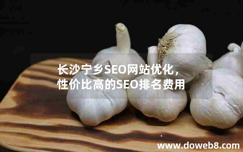 长沙宁乡SEO网站优化，性价比高的SEO排名费用