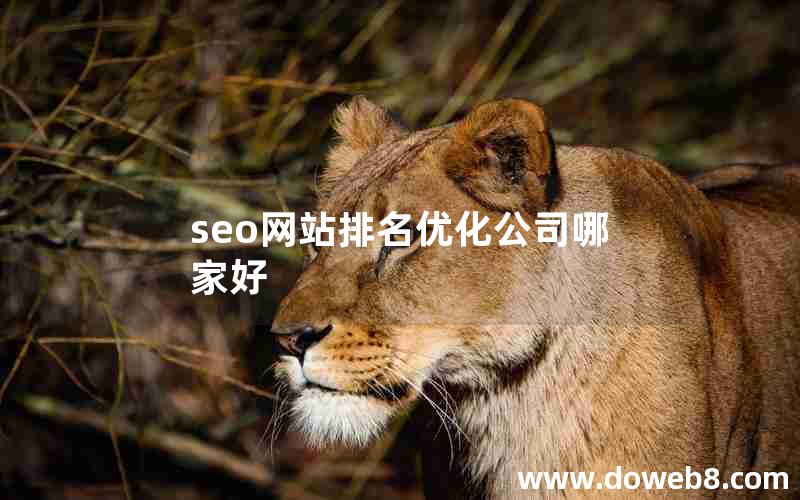 seo网站排名优化公司哪家好