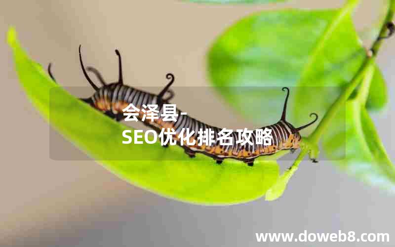 会泽县-SEO优化排名攻略,seo怎么优化步骤