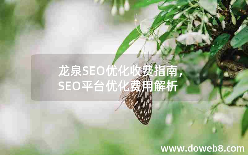 龙泉SEO优化收费指南，SEO平台优化费用解析